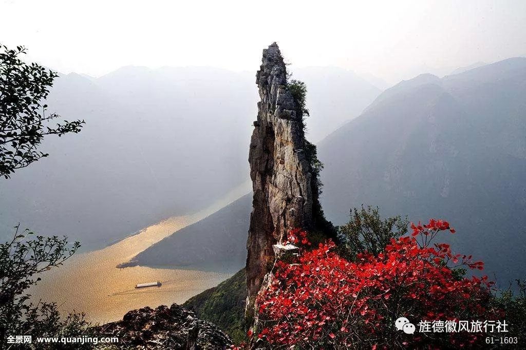 恩施富硒茶是什么茶精华(恩施富硒茶文化的内涵有)-硒宝网