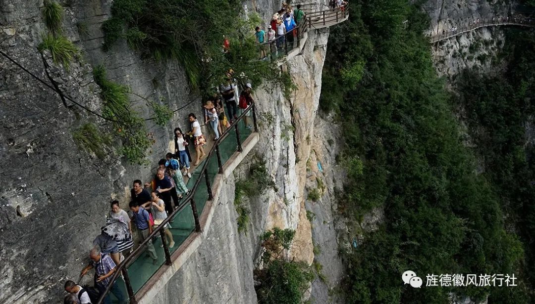 恩施富硒茶是什么茶精华(恩施富硒茶文化的内涵有)-硒宝网