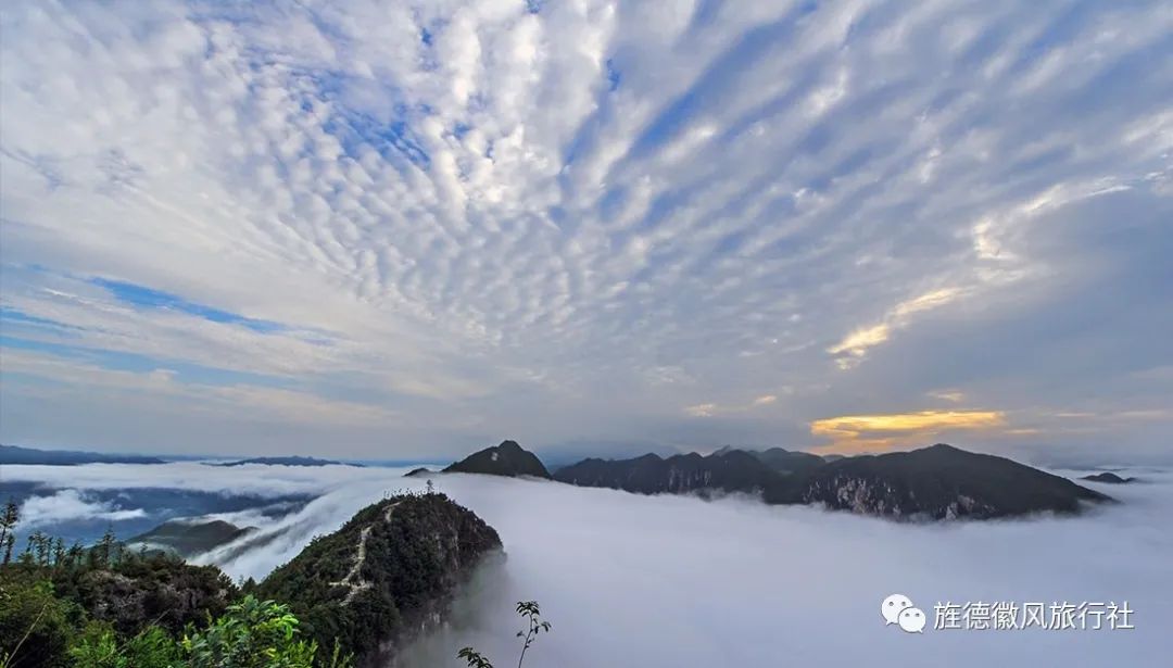 恩施富硒茶是什么茶精华(恩施富硒茶文化的内涵有)-硒宝网