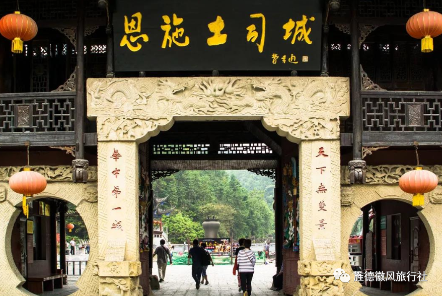 恩施富硒茶是什么茶精华(恩施富硒茶文化的内涵有)-硒宝网