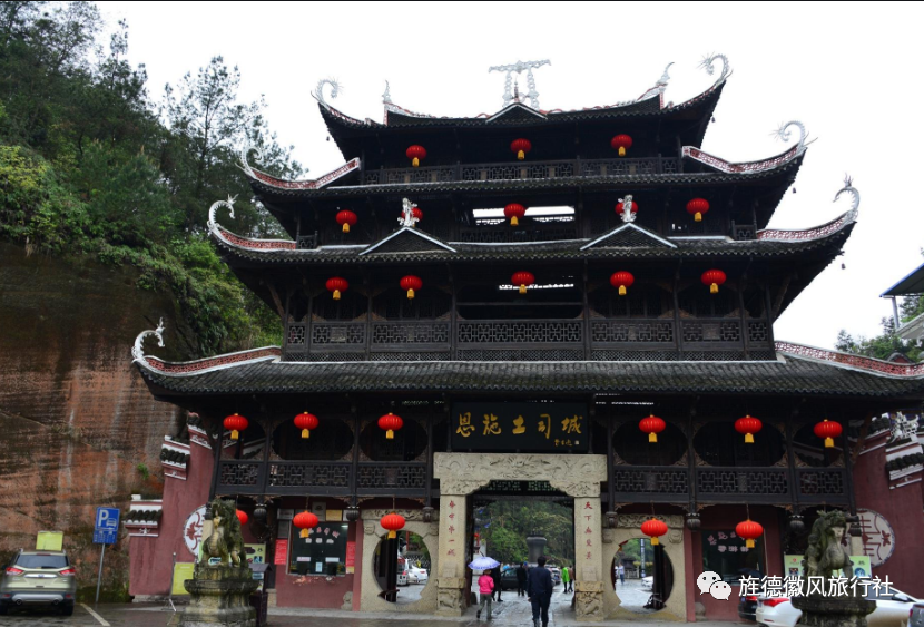 恩施富硒茶是什么茶精华(恩施富硒茶文化的内涵有)-硒宝网