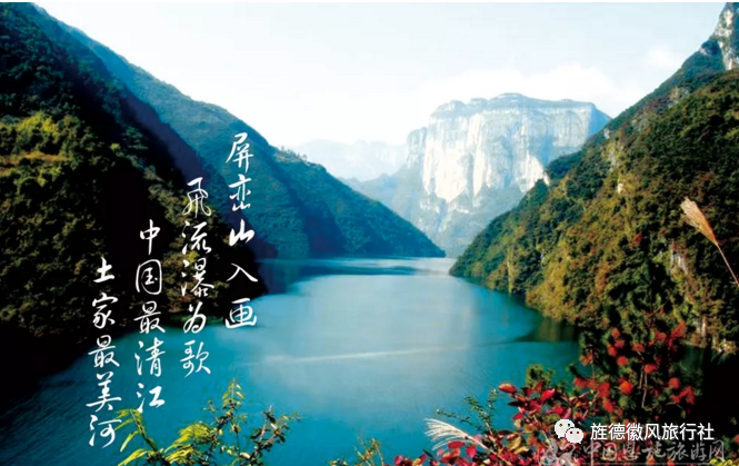 恩施富硒茶是什么茶精华(恩施富硒茶文化的内涵有)-硒宝网