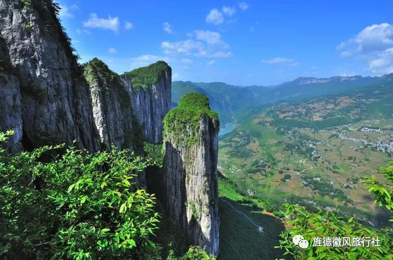 恩施富硒茶是什么茶精华(恩施富硒茶文化的内涵有)-硒宝网
