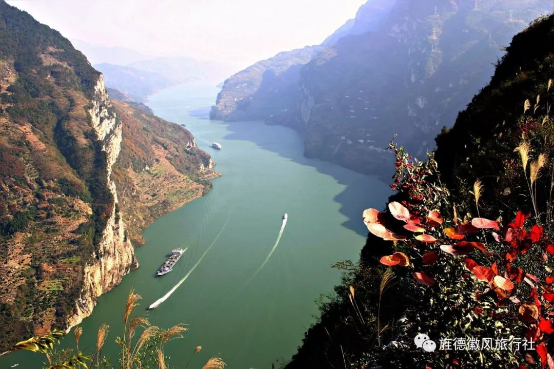 恩施富硒茶是什么茶精华(恩施富硒茶文化的内涵有)-硒宝网