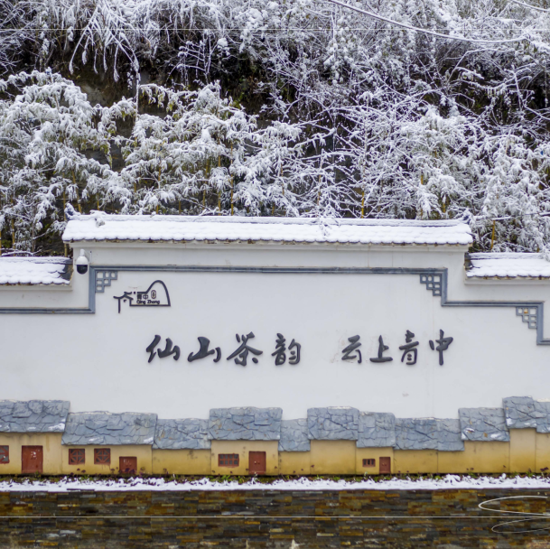 我为安康富硒茶代言奖项（我为安康富硒茶代言）-硒宝网