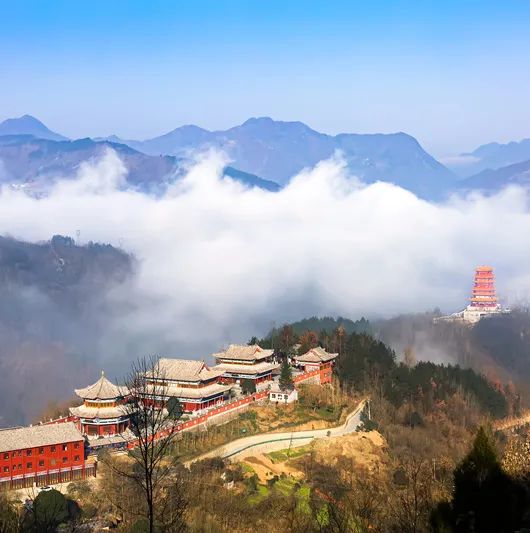 我为安康富硒茶代言奖项（我为安康富硒茶代言）-硒宝网