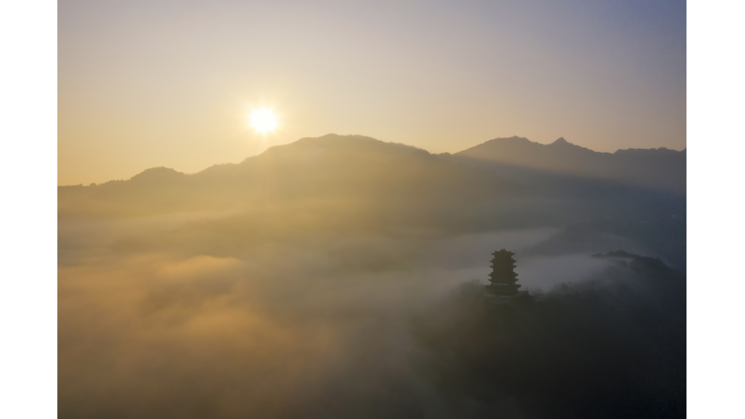 我为安康富硒茶代言奖项（我为安康富硒茶代言）-硒宝网