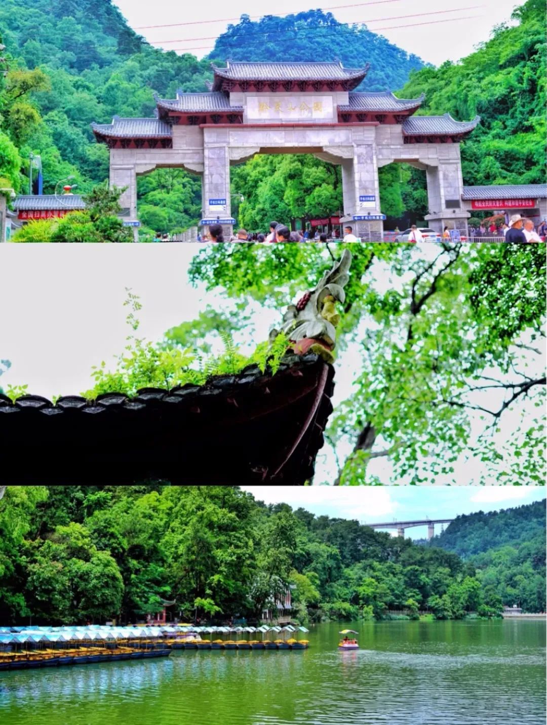 离子富硒茶的功效和作用（离湿茶的功效怎么样）-硒宝网