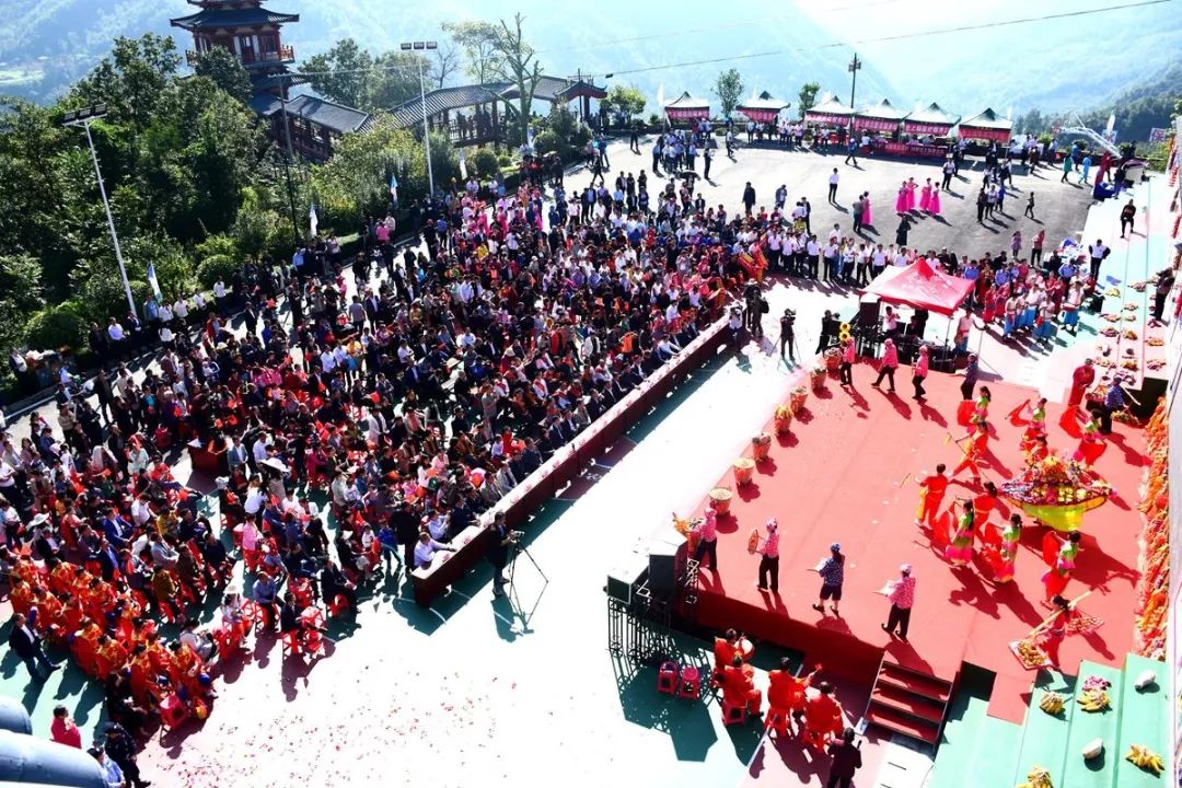 安康富硒茶建设项目进展（安康进展茶富硒建设项目有哪些）-硒宝网