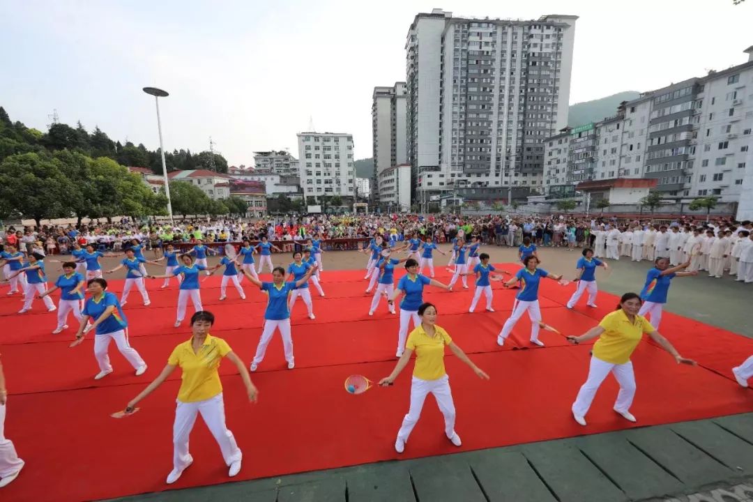安康富硒茶建设项目进展（安康进展茶富硒建设项目有哪些）-硒宝网