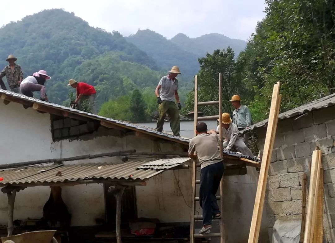 安康富硒茶建设项目进展（安康进展茶富硒建设项目有哪些）-硒宝网