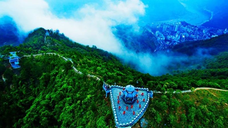 安康富硒茶建设项目进展（安康进展茶富硒建设项目有哪些）-硒宝网