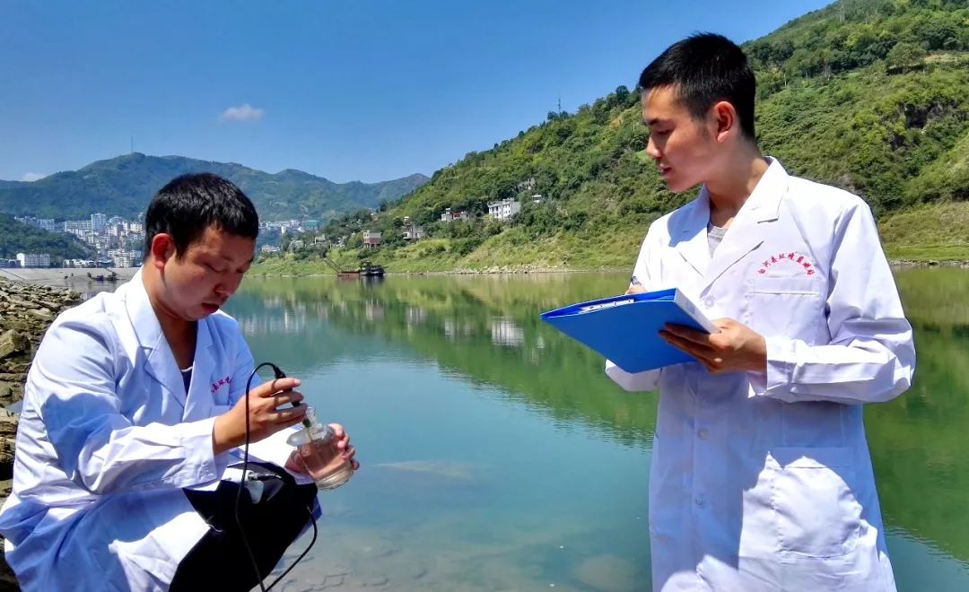 安康富硒茶建设项目进展（安康进展茶富硒建设项目有哪些）-硒宝网