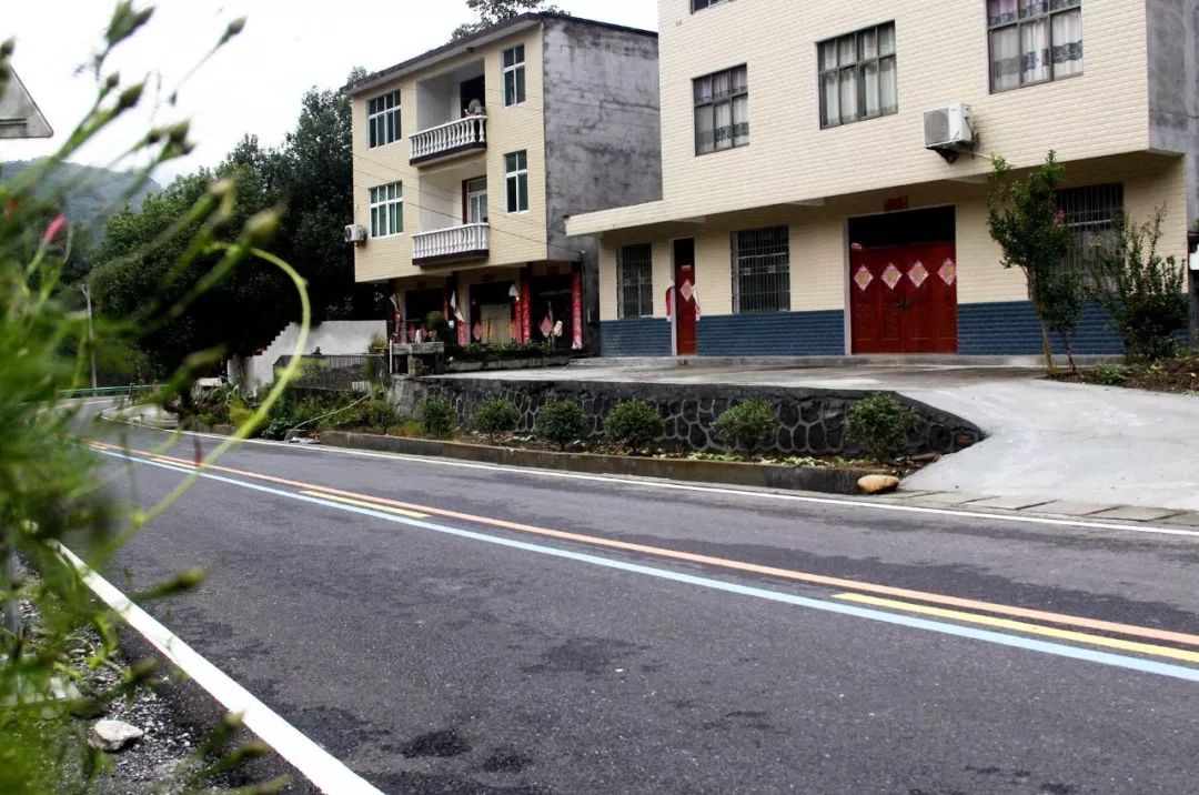 安康富硒茶建设项目进展（安康进展茶富硒建设项目有哪些）-硒宝网