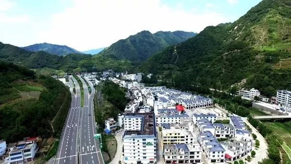 安康富硒茶建设项目进展（安康进展茶富硒建设项目有哪些）-硒宝网