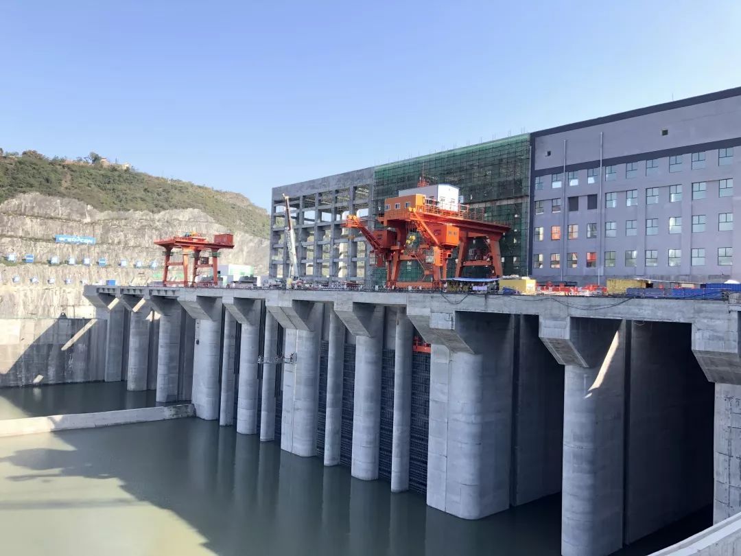 安康富硒茶建设项目进展（安康进展茶富硒建设项目有哪些）-硒宝网