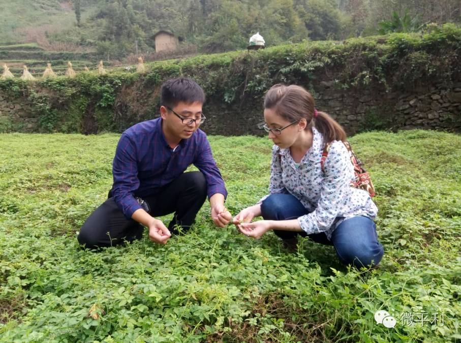 我为安康富硒茶代言奖项(安康富硒茶的广告语)-硒宝网