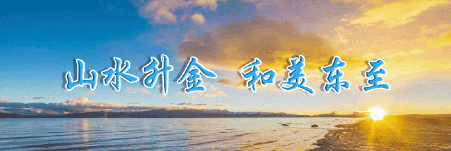 绿茶池州高山野生富硒茶（安徽富硒绿茶）-硒宝网