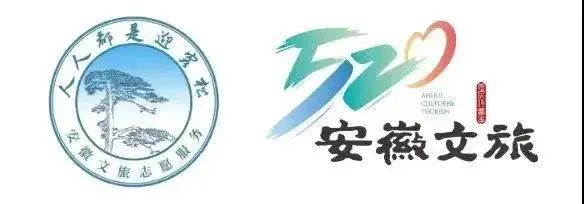 绿茶池州高山野生富硒茶（安徽富硒绿茶）-硒宝网