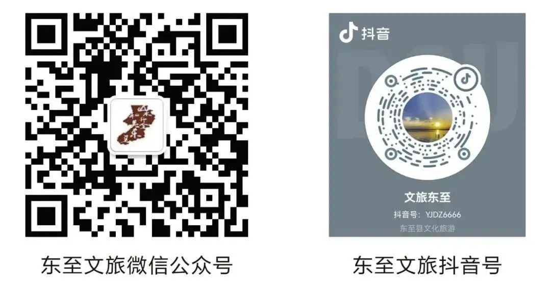 绿茶池州高山野生富硒茶（安徽富硒绿茶）-硒宝网