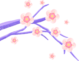 天津恩施富硒茶在哪里买(恩施富硒产品专卖店)-硒宝网