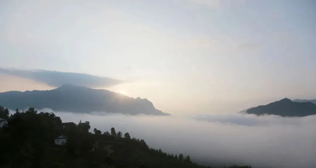 天津恩施富硒茶在哪里买(恩施富硒产品专卖店)-硒宝网