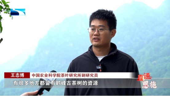 受欢迎的恩施富硒茶企业(恩施富硒茶十大排名)-硒宝网