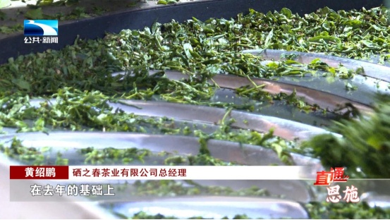 受欢迎的恩施富硒茶企业(恩施富硒茶十大排名)-硒宝网
