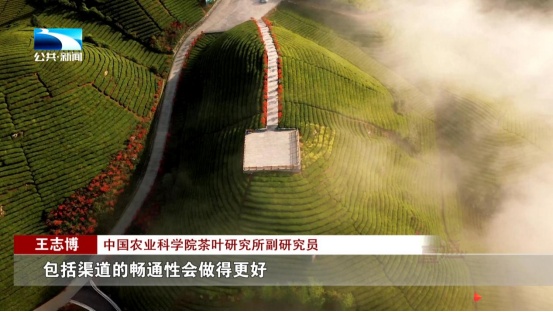 受欢迎的恩施富硒茶企业(恩施富硒茶十大排名)-硒宝网