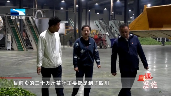 受欢迎的恩施富硒茶企业(恩施富硒茶十大排名)-硒宝网