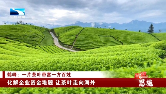 受欢迎的恩施富硒茶企业(恩施富硒茶十大排名)-硒宝网