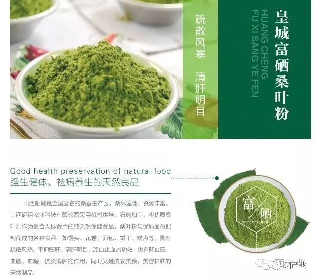 富硒桑叶茶什么时候喝好（桑叶喝茶有什么好处）-硒宝网