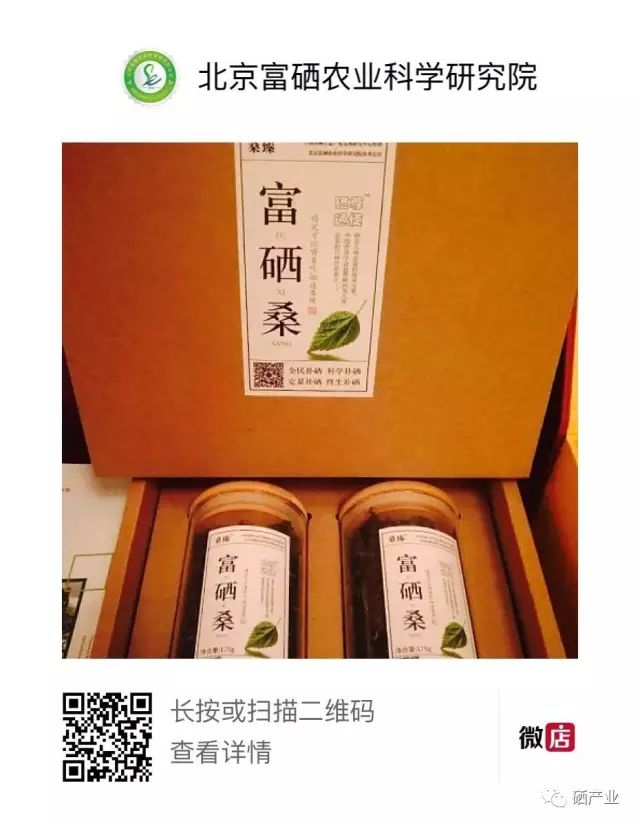 富硒桑叶茶什么时候喝好（桑叶喝茶有什么好处）-硒宝网