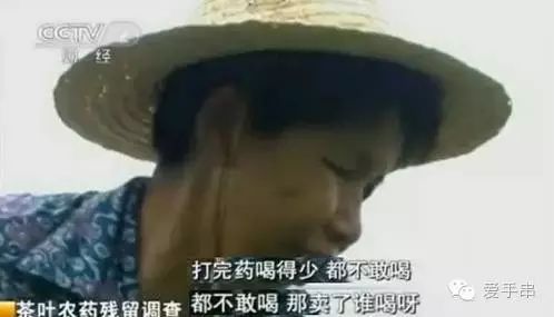 富硒桑叶茶什么时候喝好（桑叶喝茶有什么好处）-硒宝网