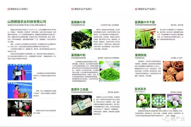 富硒桑叶茶什么时候喝好（桑叶喝茶有什么好处）-硒宝网