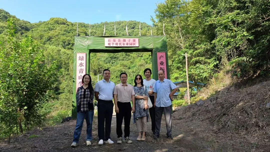 西安紫阳富硒茶在哪里卖(陕西紫阳富硒茶是红茶还是绿茶)-硒宝网