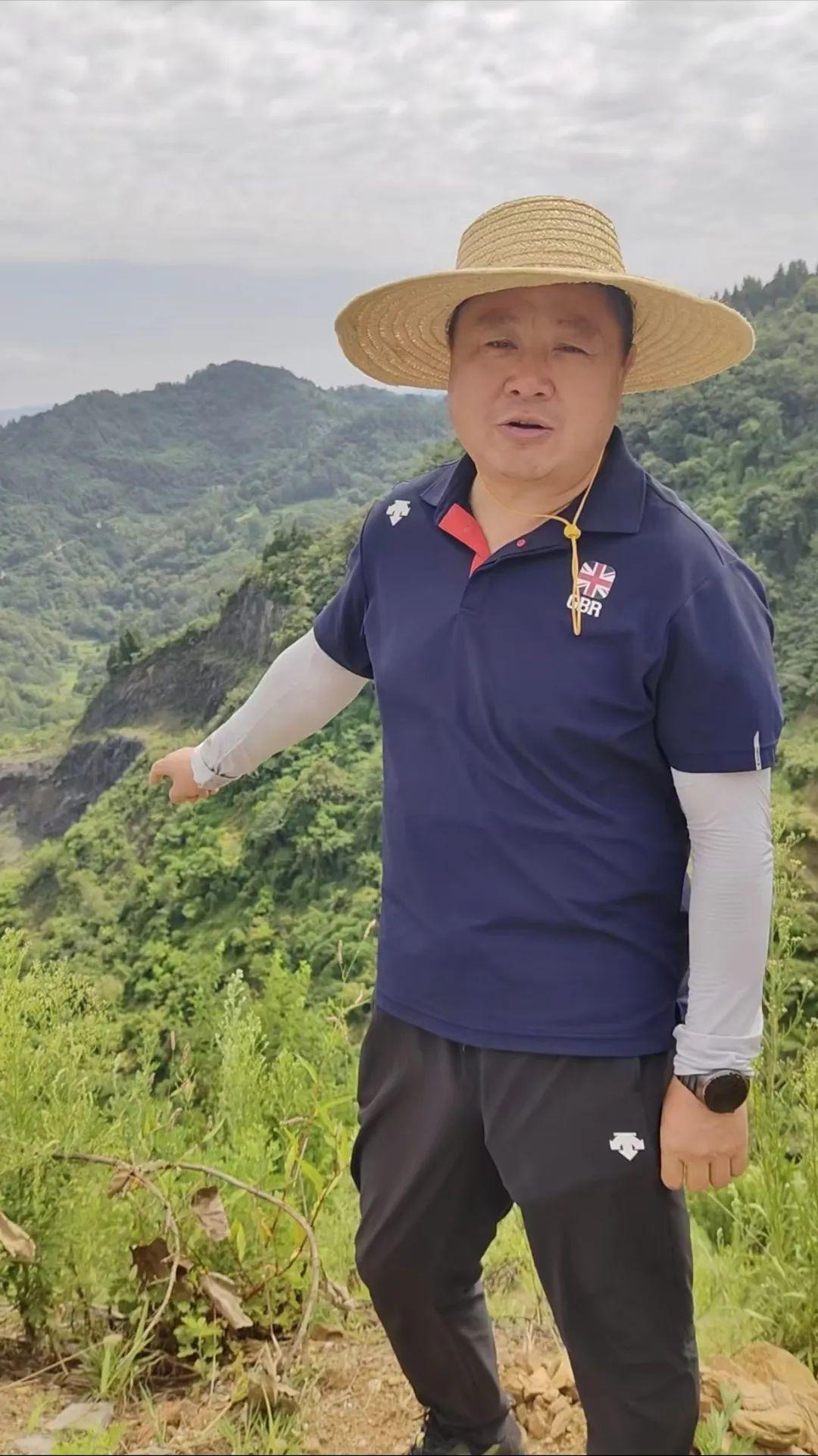 西安紫阳富硒茶在哪里卖(陕西紫阳富硒茶是红茶还是绿茶)-硒宝网