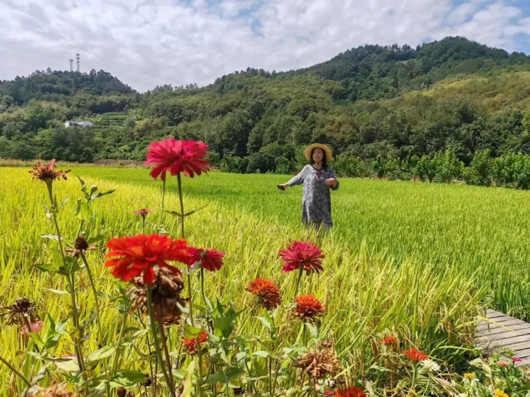 西安紫阳富硒茶在哪里卖(陕西紫阳富硒茶是红茶还是绿茶)-硒宝网