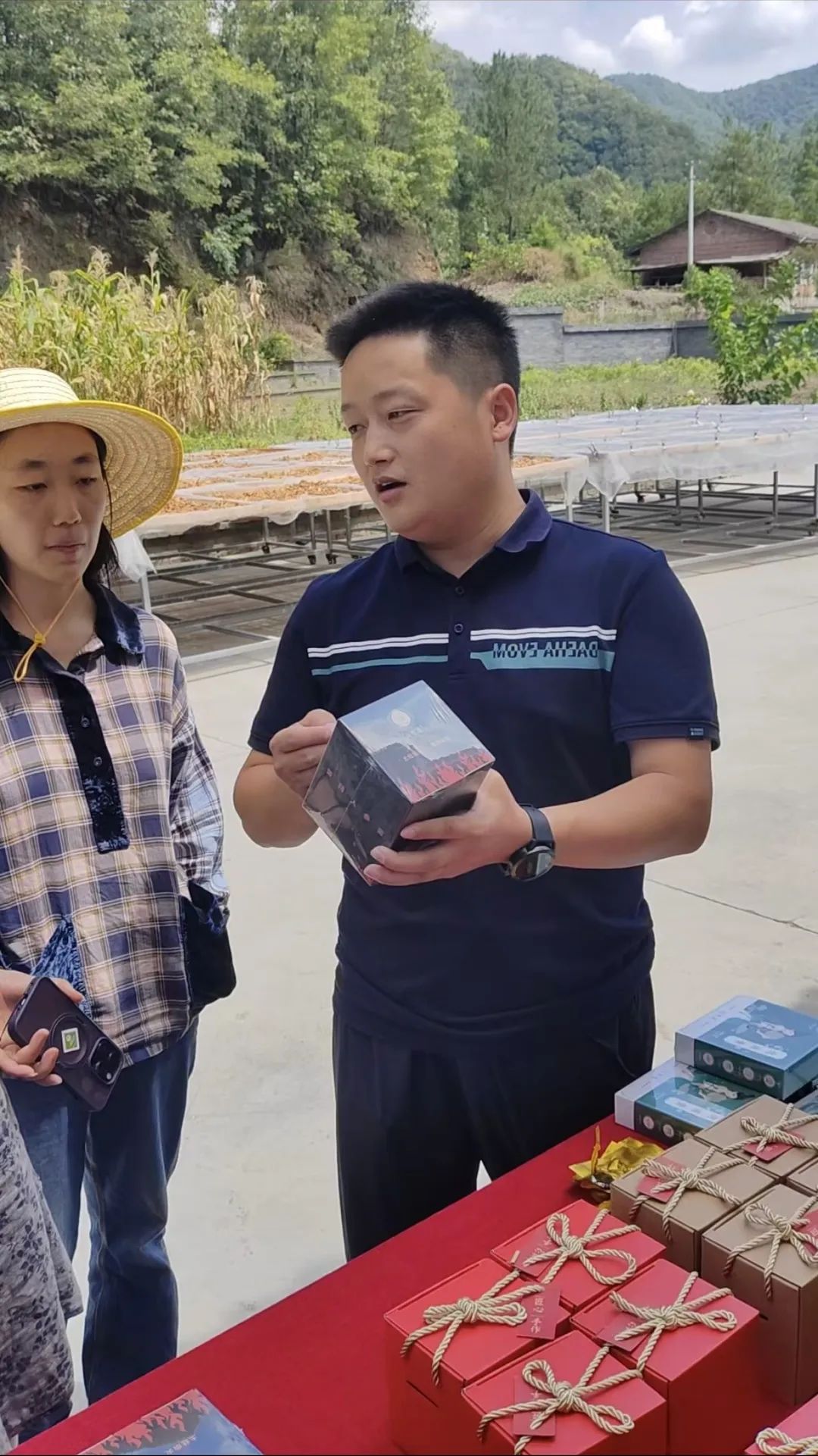 西安紫阳富硒茶在哪里卖(陕西紫阳富硒茶是红茶还是绿茶)-硒宝网