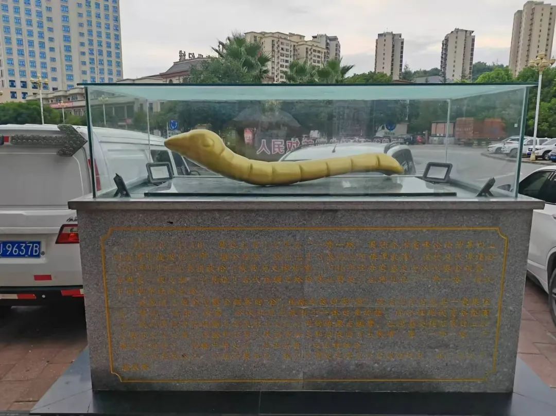 西安紫阳富硒茶在哪里卖(陕西紫阳富硒茶是红茶还是绿茶)-硒宝网