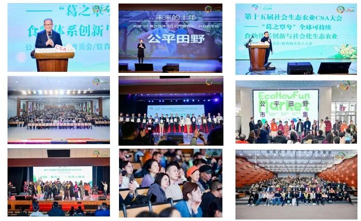 西安紫阳富硒茶在哪里卖(陕西紫阳富硒茶是红茶还是绿茶)-硒宝网