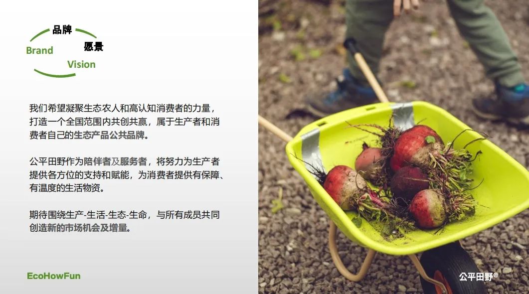 西安紫阳富硒茶在哪里卖(陕西紫阳富硒茶是红茶还是绿茶)-硒宝网