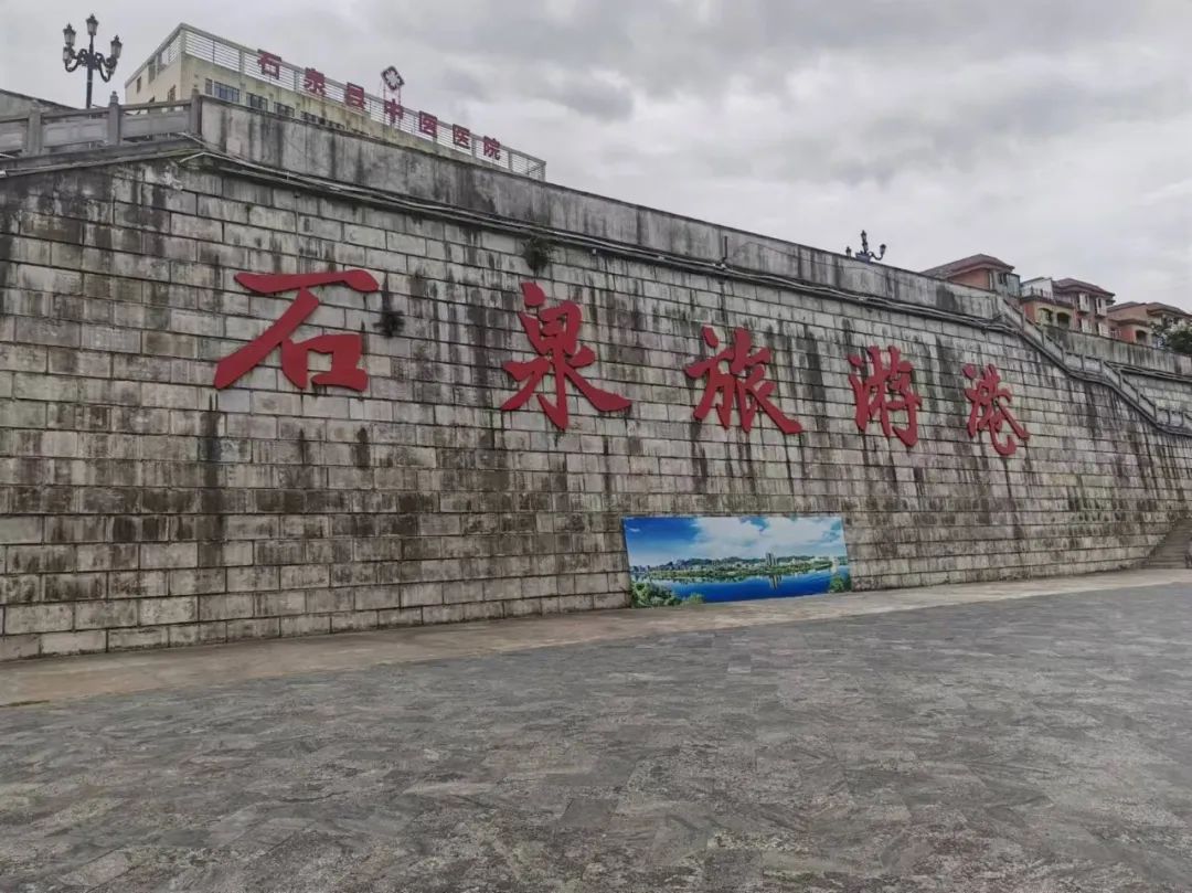 西安紫阳富硒茶在哪里卖(陕西紫阳富硒茶是红茶还是绿茶)-硒宝网