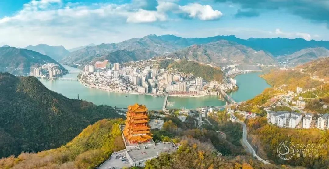 西安紫阳富硒茶在哪里卖(陕西紫阳富硒茶是红茶还是绿茶)-硒宝网