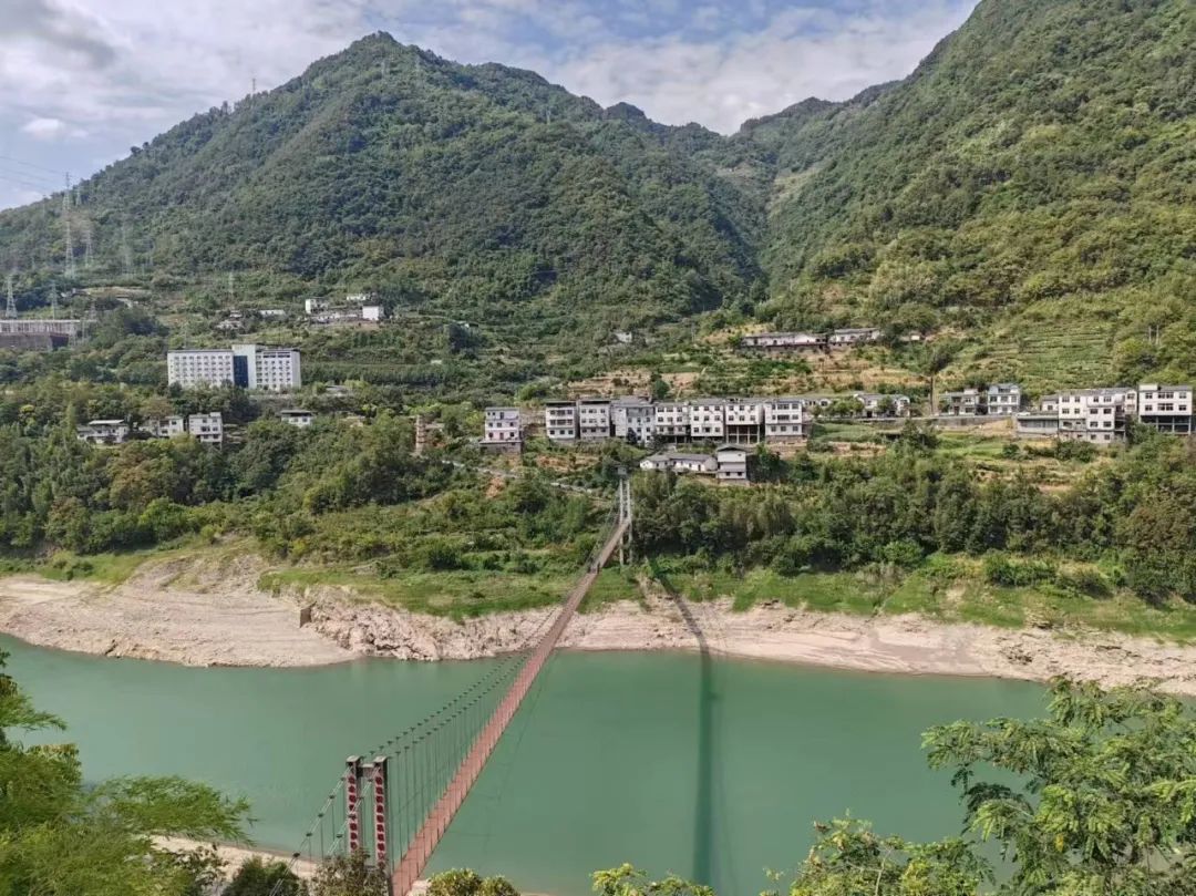 西安紫阳富硒茶在哪里卖(陕西紫阳富硒茶是红茶还是绿茶)-硒宝网