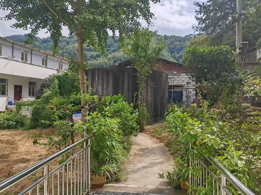 西安紫阳富硒茶在哪里卖(陕西紫阳富硒茶是红茶还是绿茶)-硒宝网