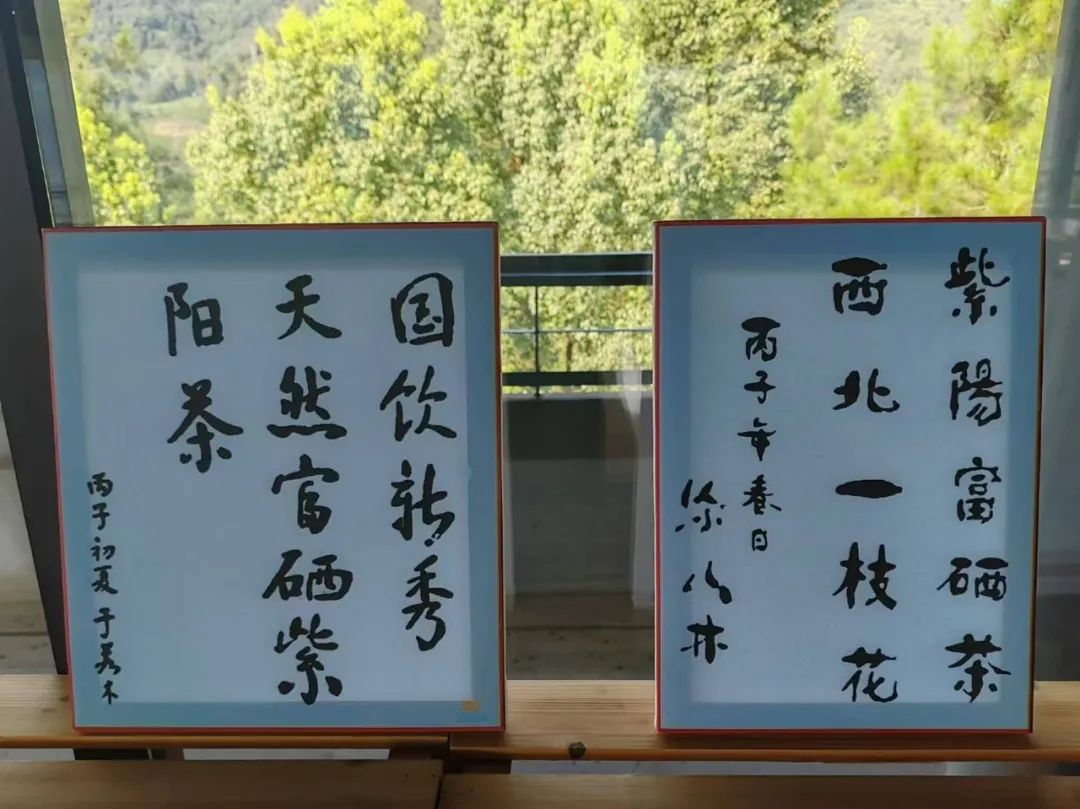 西安紫阳富硒茶在哪里卖(陕西紫阳富硒茶是红茶还是绿茶)-硒宝网