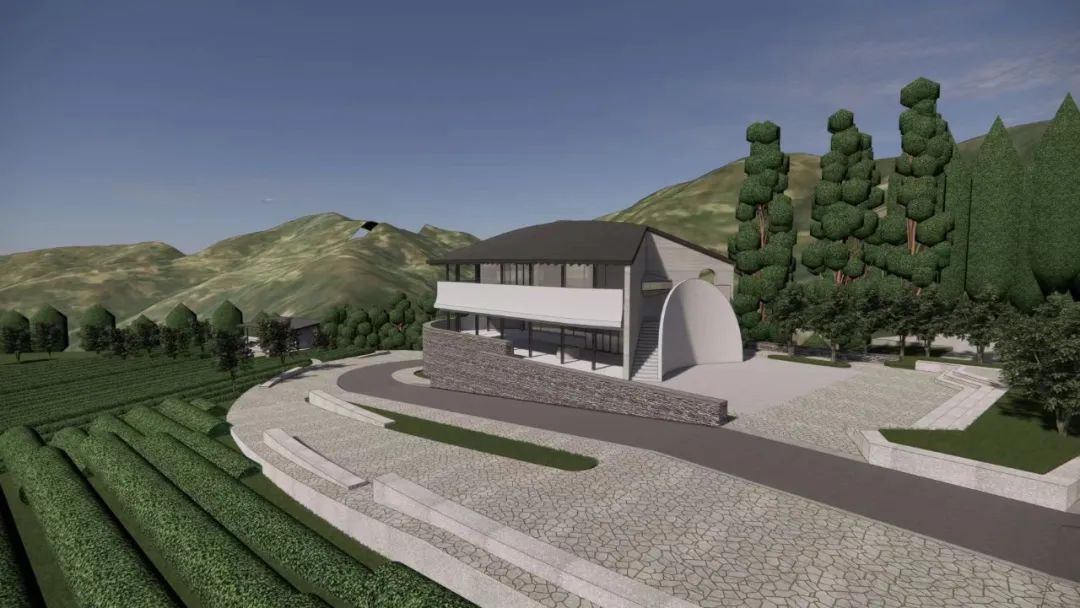 西安紫阳富硒茶在哪里卖(陕西紫阳富硒茶是红茶还是绿茶)-硒宝网