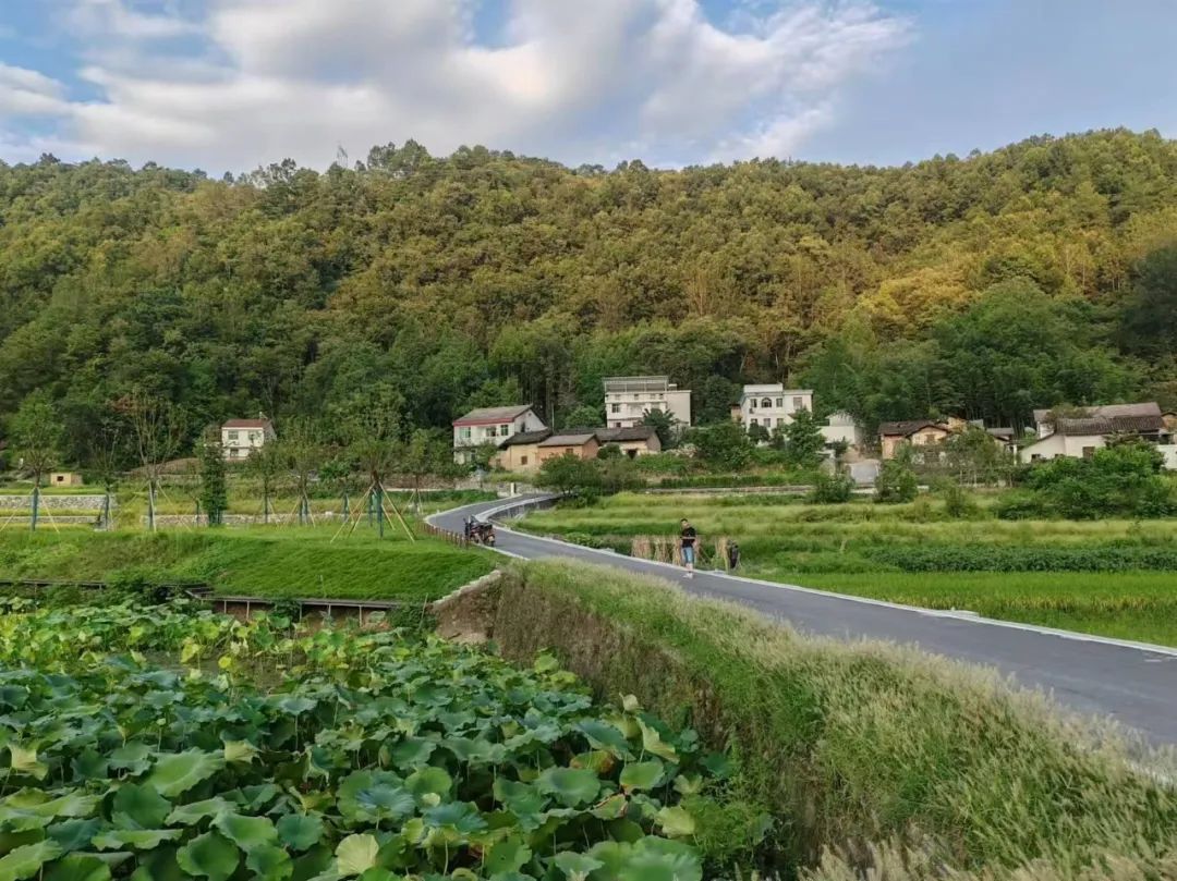 西安紫阳富硒茶在哪里卖(陕西紫阳富硒茶是红茶还是绿茶)-硒宝网