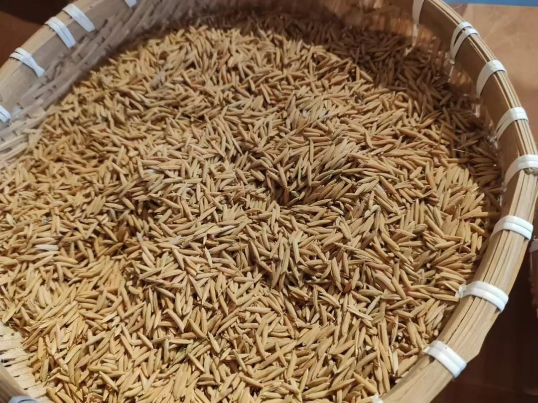 西安紫阳富硒茶在哪里卖(陕西紫阳富硒茶是红茶还是绿茶)-硒宝网